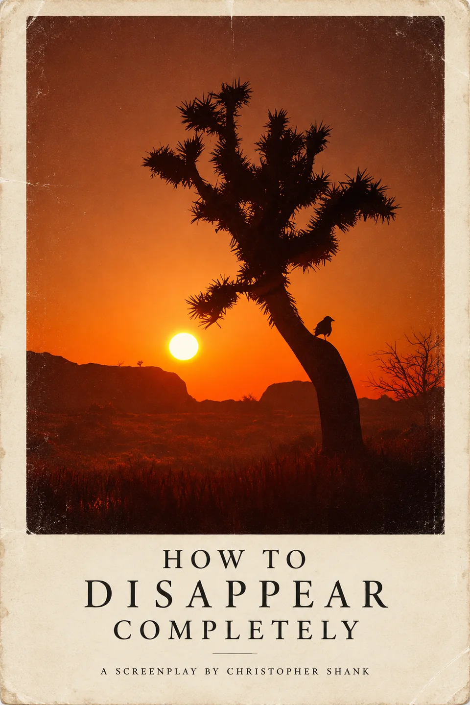 Poster for HOW TO DISAPPEAR COMPLETELY